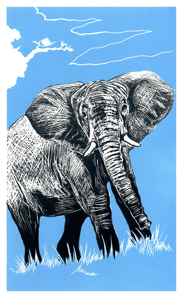 elephant lino cut print matthew braithwaite
